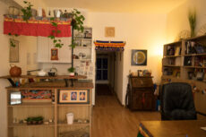 La Cité des Consciences – La Ruche