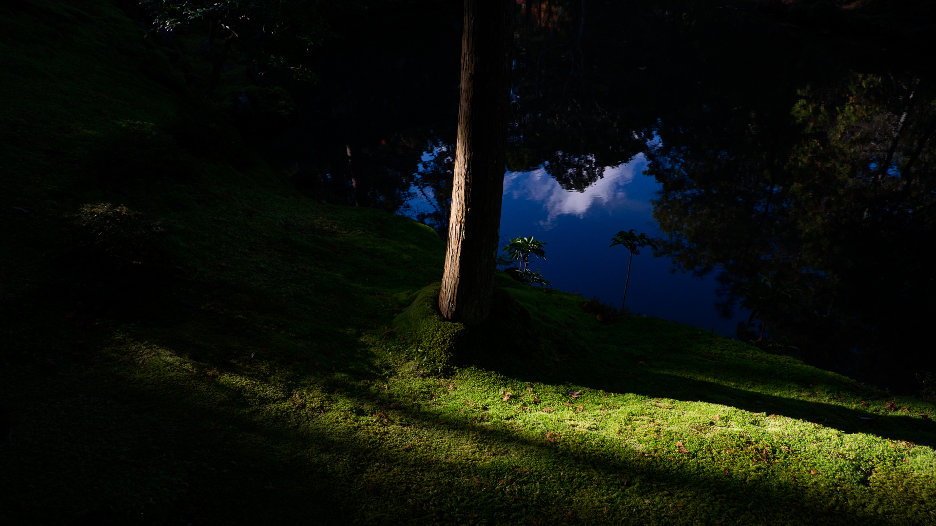 Saiho-ji (Temple des mousses) – Japon (2015) – Antoine Jeangeot