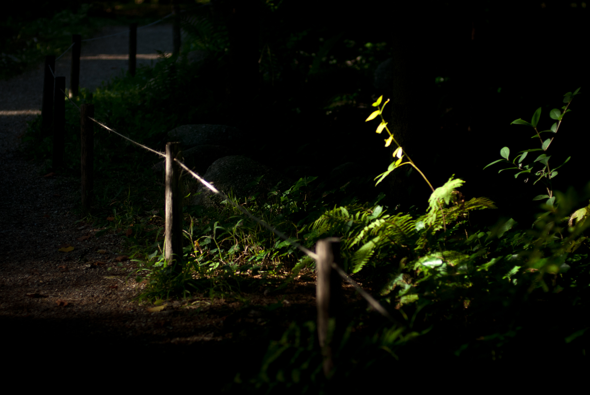Jardins Albert Kahn – Paris (2013) – Antoine Jeangeot Jardins Albert Kahn – Paris (2013) – Antoine Jeangeot