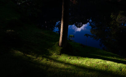 Saiho-ji (Temple des mousses) – Japon (2015) – Antoine Jeangeot